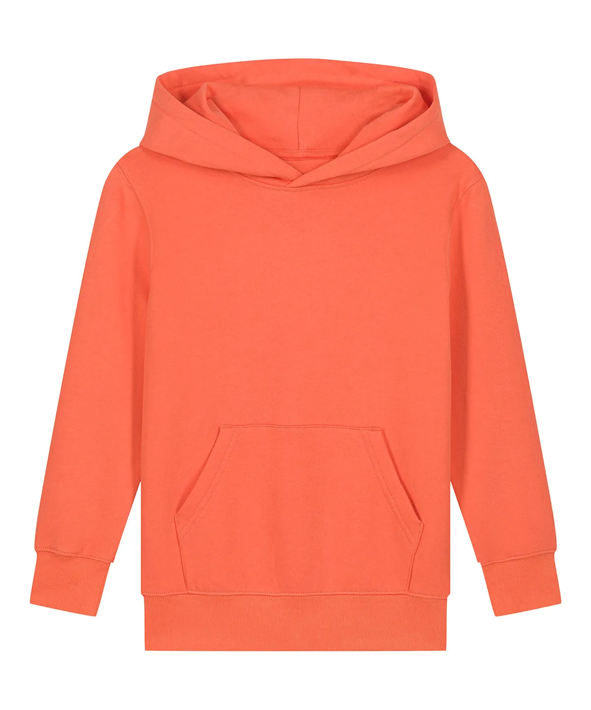 Kids Mini Cruiser 20 iconic hoodie sweatshirt (STSK180) | Fiesta